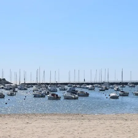 Avec Terrasse - Et Commerces - Velos *